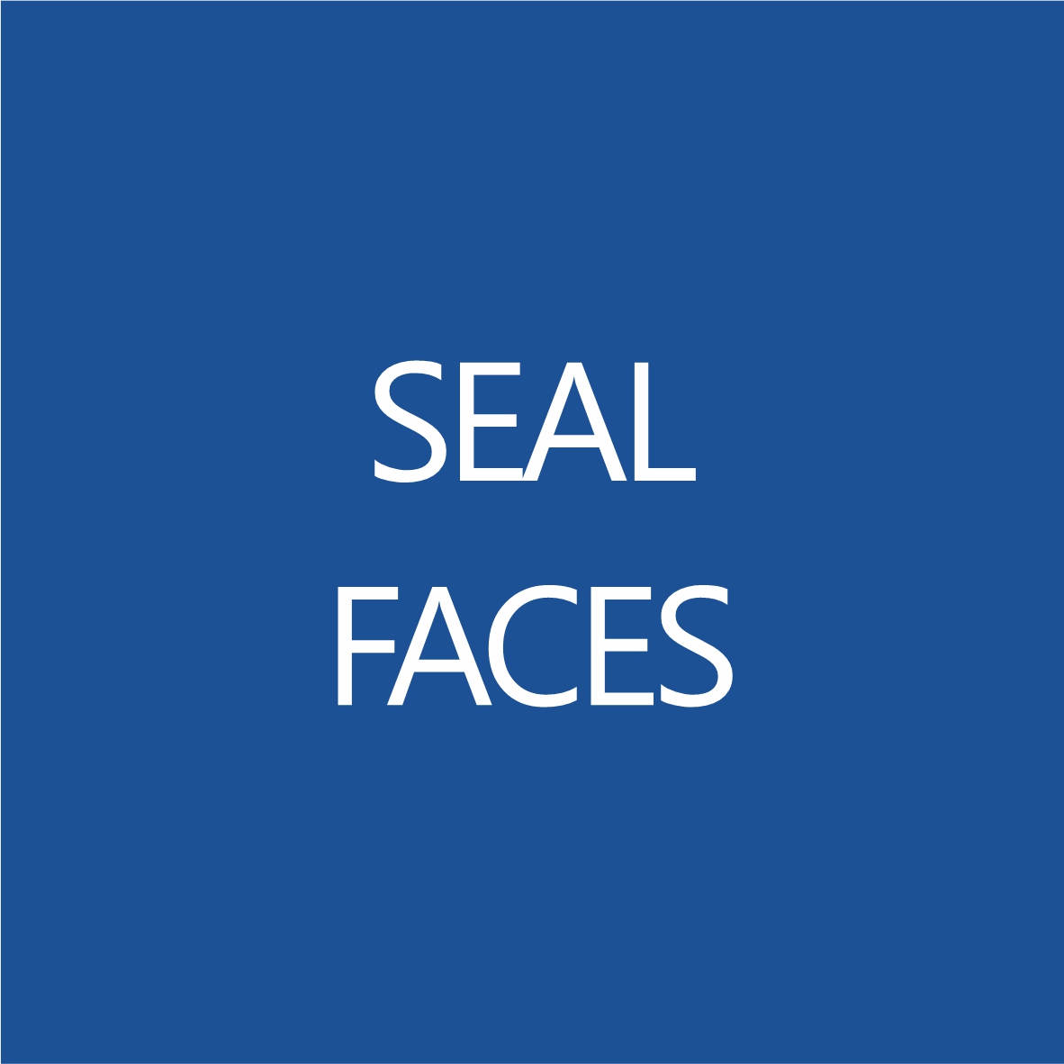 Seal Faces